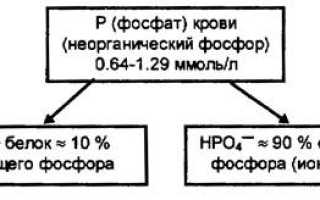 Как повысить фосфор в крови